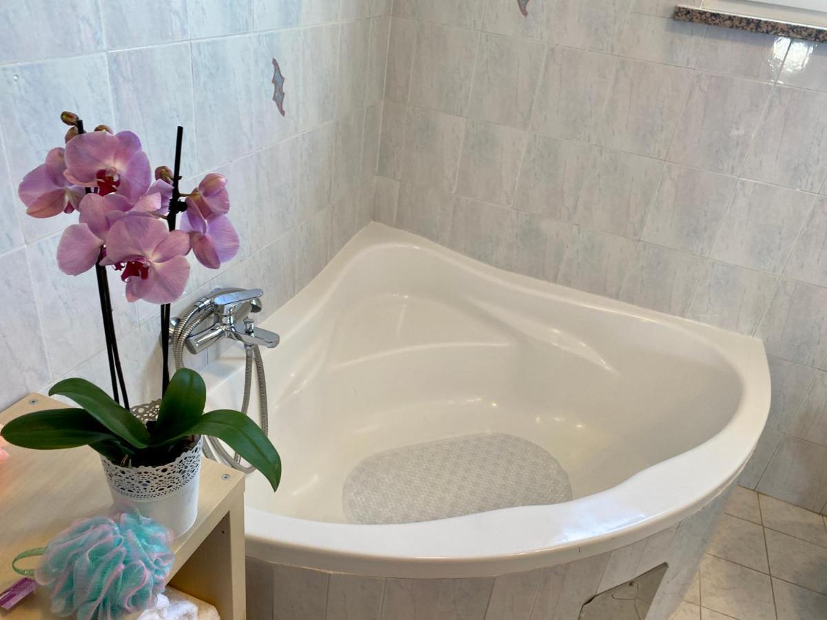 Penthouse Cityview Pula Dış mekan fotoğraf